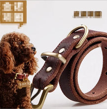 Load image into Gallery viewer, Premium leather dog collar with alloy buckle next to curly-coated dog
