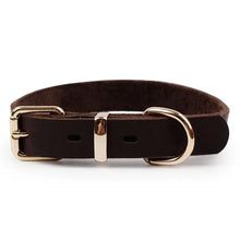 Load image into Gallery viewer, Premium leather dog collar with sleek alloy buckle, combining style, comfort, and durability for your pet's daily fashion.