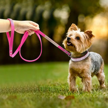 Load image into Gallery viewer, Small dog wearing a stylish pink leather collar and leash set, standing on grass with a person holding the leash.