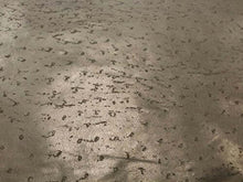 Load image into Gallery viewer, Premium exotic leather hide with natural texture, ideal for crafts and garments