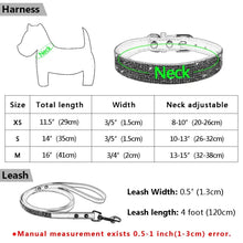 Load image into Gallery viewer, Size chart for leather dog collar and leash set with measurements in inches and centimeters for XS to M sizes.
