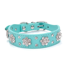 Load image into Gallery viewer, Turquoise leather pet collar with decorative rhinestone flowers, ideal for stylish puppies and cats seeking comfort and elegance.
