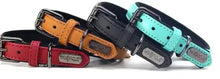 Load image into Gallery viewer, Four stylish genuine leather dog collars in red, orange, black, and turquoise, featuring adjustable buckles and padded for comfort.
