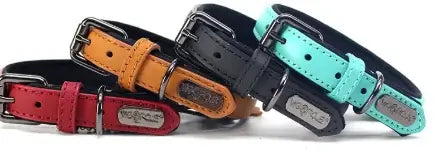 Four stylish genuine leather dog collars in red, orange, black, and turquoise, showcasing premium, comfortable design.