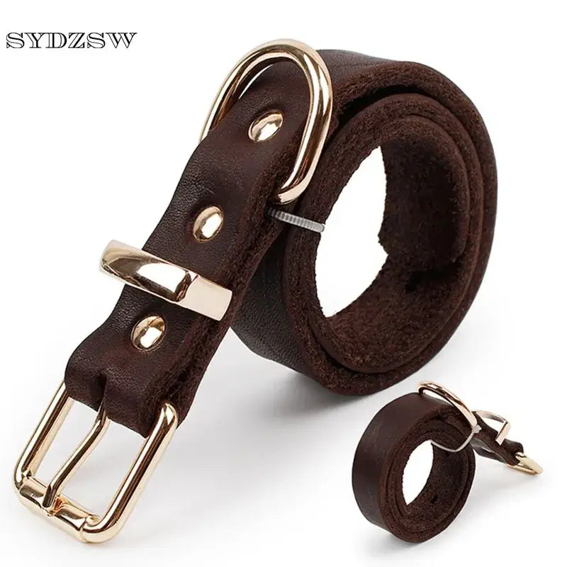Premium brown leather dog collar with alloy buckle, offering style, comfort, and durability for pets.