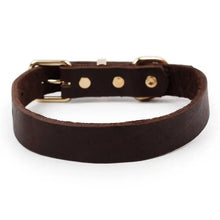 Load image into Gallery viewer, Premium leather dog collar with alloy buckle, showcasing elegant design and durability for stylish pet wear.
